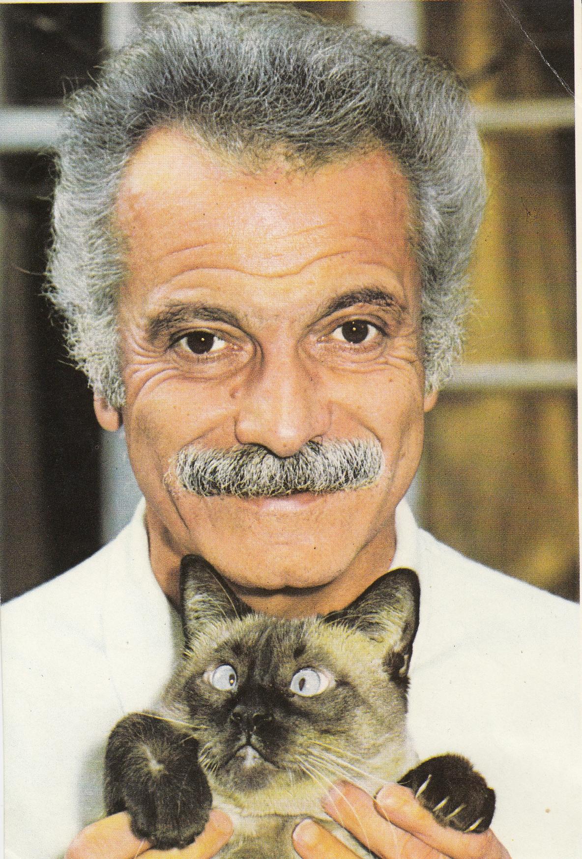 L Enfant Et Les Chats Dedie A G Brassens