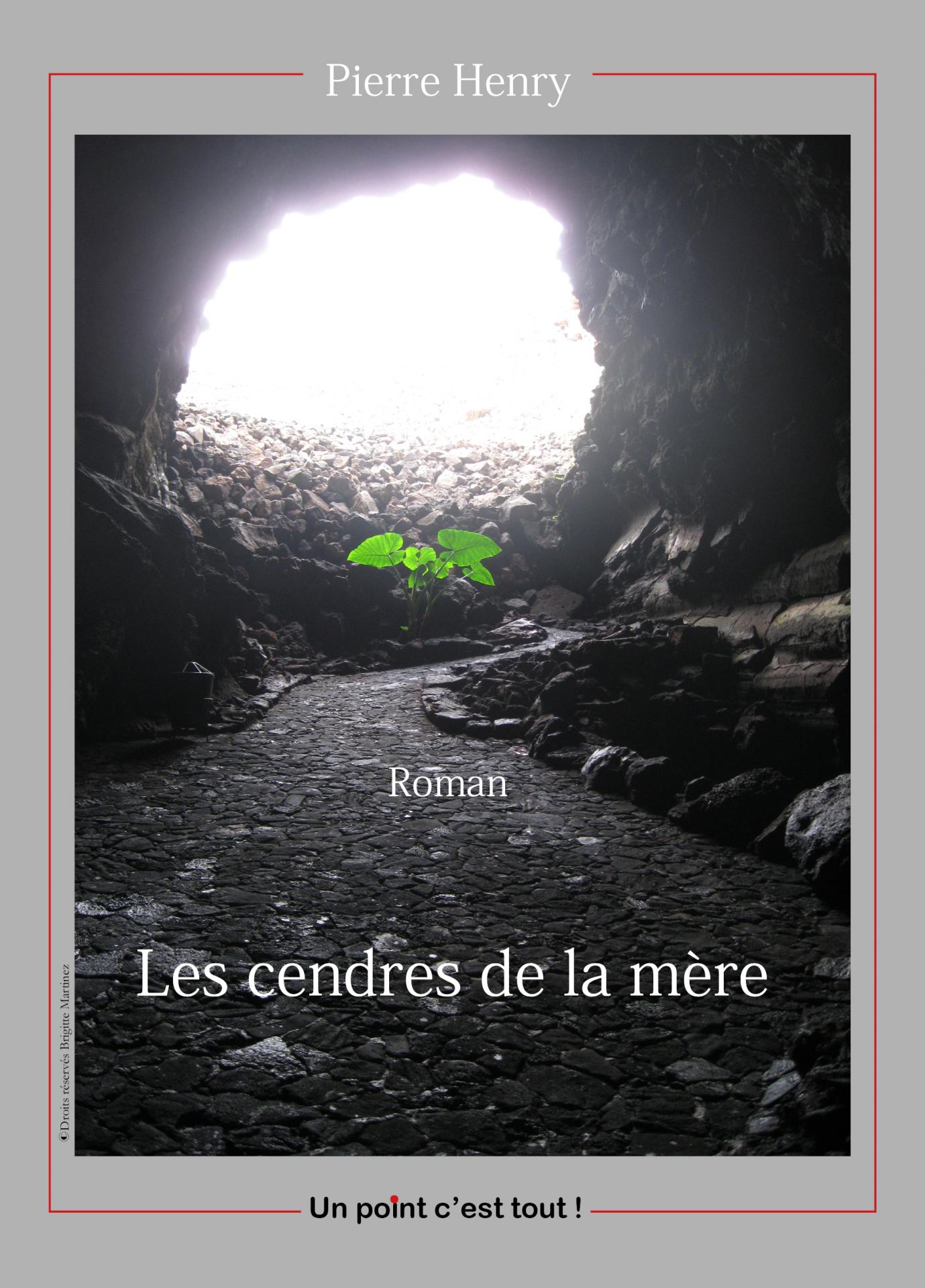 1de couv pierre henry6
