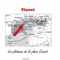 Bat tiaret couv